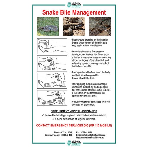 snake bite first aid