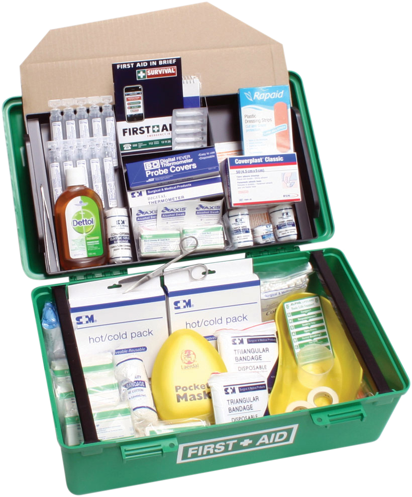 Childcare Centre Kit In A Portable Large Plastic Carry Alpha First Aid