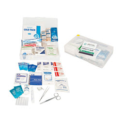 Low Risk Workplace Vehicle Kit in a Clear Plastic Container